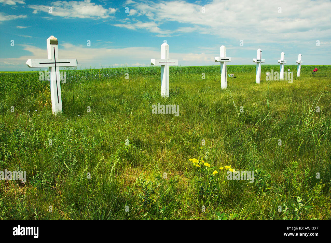 Eine Reihe von weißen Kreuze zum Gedenken an Opfer der Abtreibung in der Nähe von Smuts Saskatchewan Kanada Stockfoto
