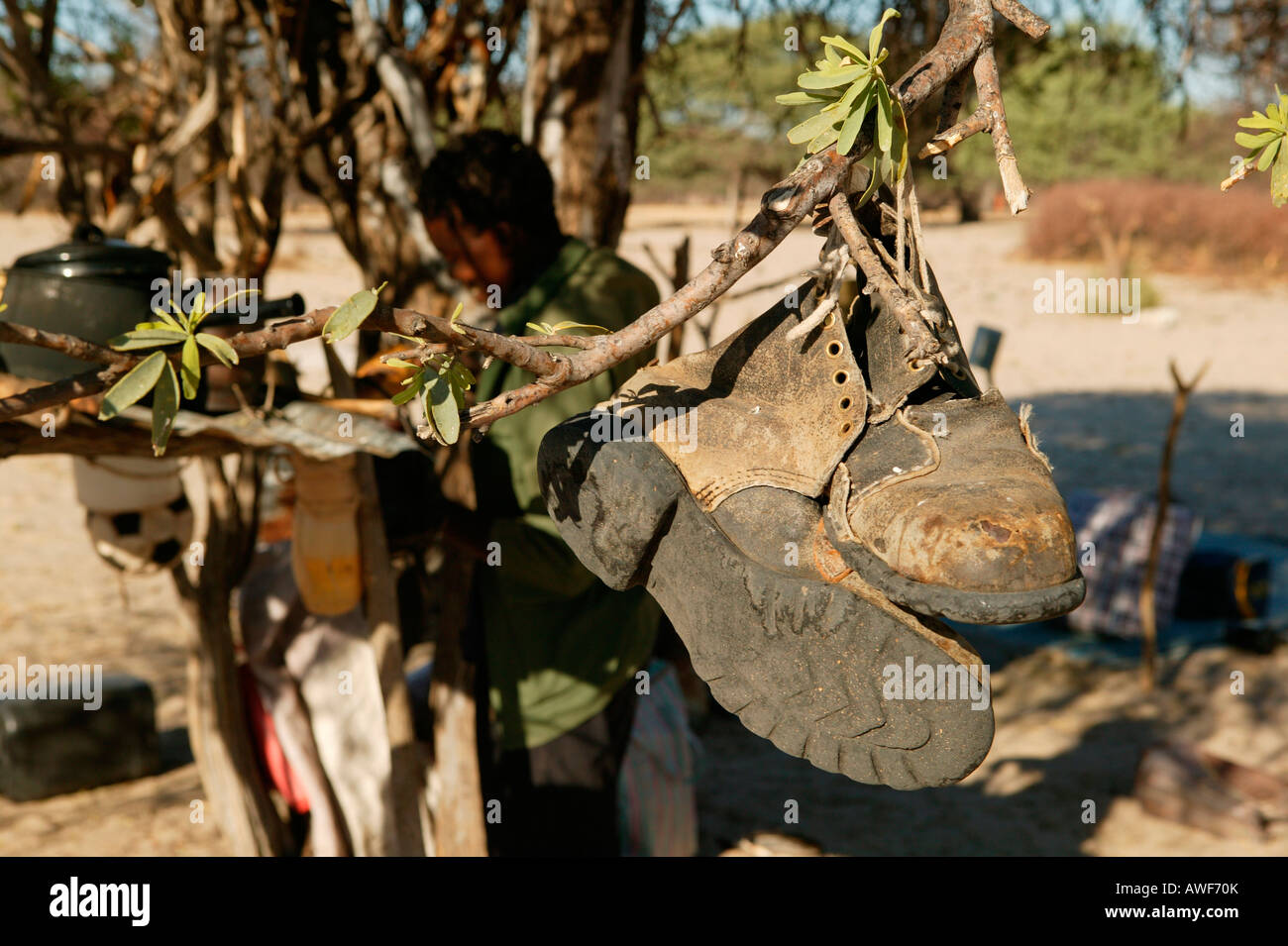 Schuhe hängen von einem Baum zum Schutz vor Ungeziefer, Cattlepost Bothatogo, Botswana, Afrika Stockfoto