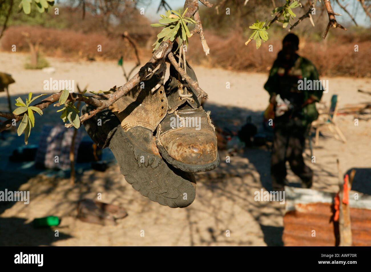 Schuhe hängen von einem Baum zum Schutz vor Ungeziefer, Cattlepost Bothatogo, Botswana, Afrika Stockfoto