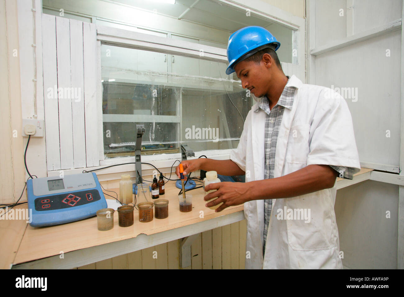 Qualitätskontrolle von Zuckerrohr auf der Demerara Zucker Labor, Demerara Provinz, Guyana, Südamerika Stockfoto