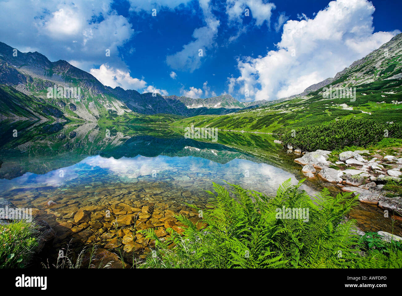 Wielki staw Fotos und Bildmaterial in hoher Auflösung Alamy