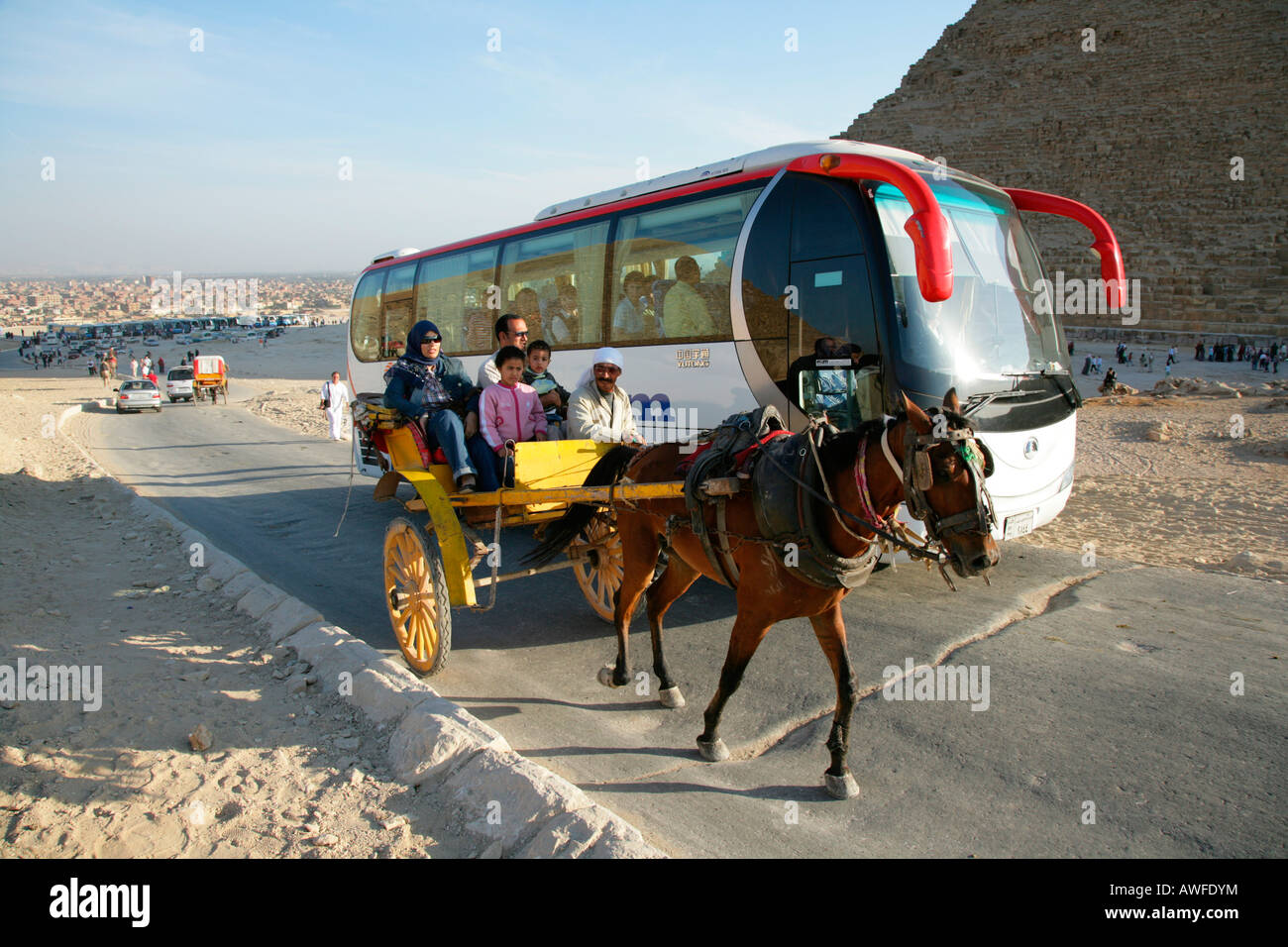 Sightseeing-Bus und Pferd und Buggy in der Nähe der Pyramiden, Gizeh, Ägypten, Nordafrika, Afrika Stockfoto