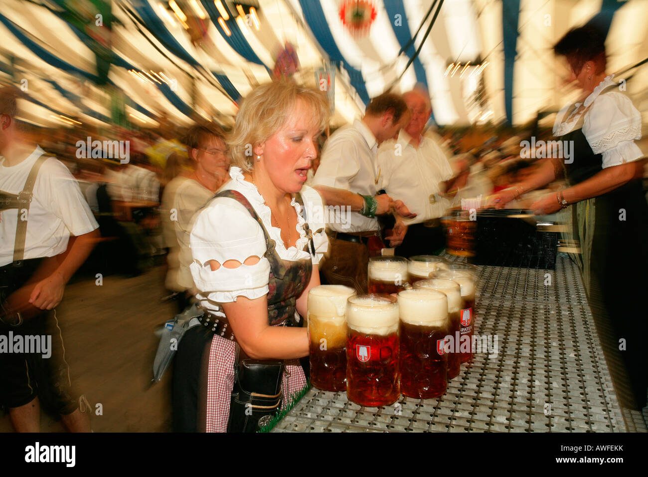 Besucher und Personal in einem Bierzelt auf ein internationales Festival für Costume national, Muehldorf, Bayern, Oberbayern, G Stockfoto