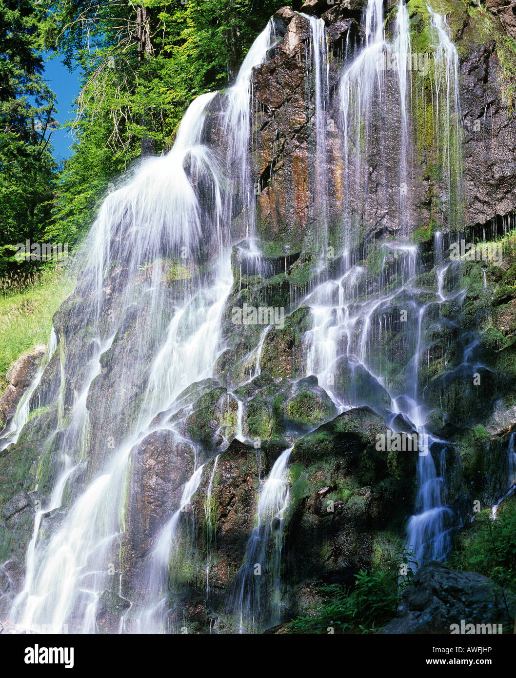 Wasserfall in einem Bergbach mit Moos bewachsenen Felsen. Kaskade Stockfoto