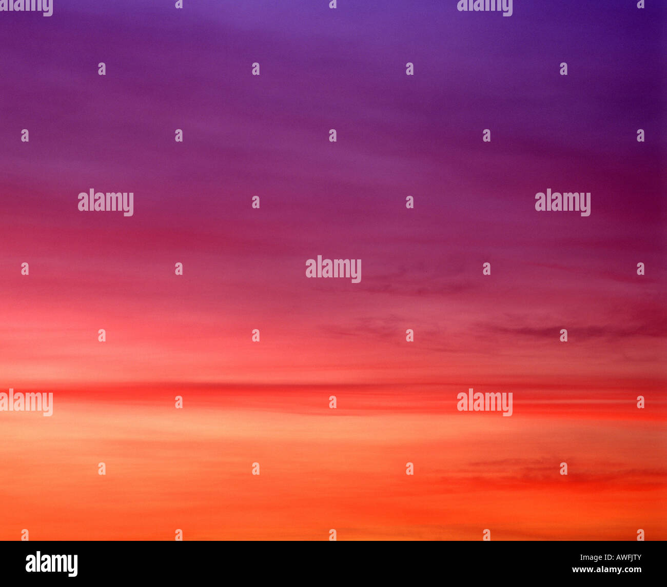 Leuchtenden Sternenhimmel, Mauve und fuschia Stockfoto