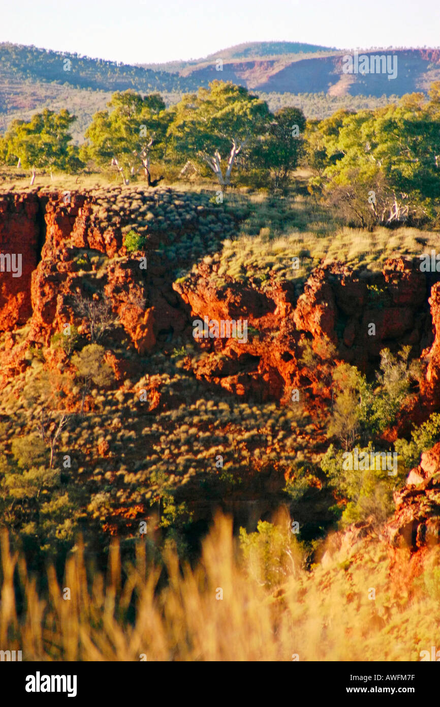 Spinifex und Gum Bäumen wachsen aus roter Erde um Klippen im Karijini National Park in der Nähe von Tom Preis Western Australia Stockfoto