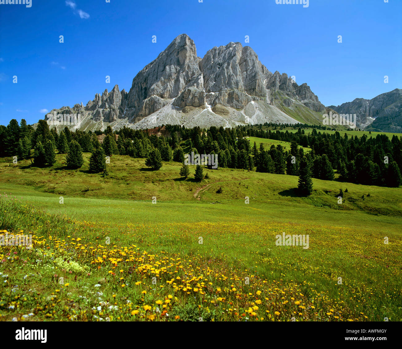 Blick vom Wuerzjoch zum Peitlerkofel, Puez-Geisler-Gruppe Bereich Blume Wiese, Dolomiten, Süd Tirol, Italien, Europa Stockfoto