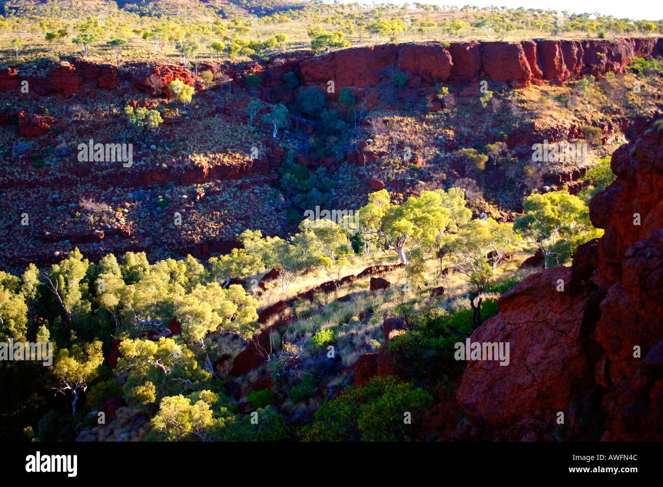 Schöne rote Erde und leichte Spinifex Grünpflanzen um Schluchten des Karijini National Park in der Nähe von Tom Price, Western Australia Stockfoto