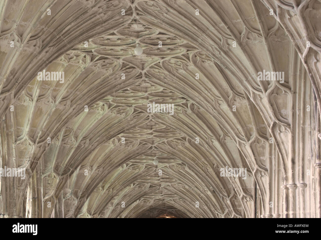 Detail des gotischen Ventilators gewölbte Decke in den Kreuzgängen der Gloucester cathedral Stockfoto