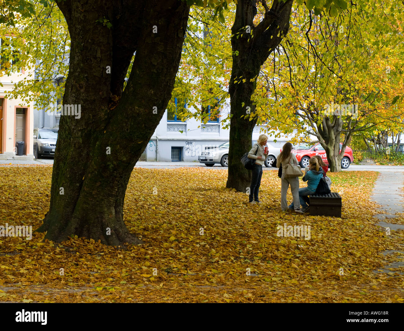 Studentinnen der Universität Bergen in Bergen, Norwegen an einem Herbsttag. Stockfoto