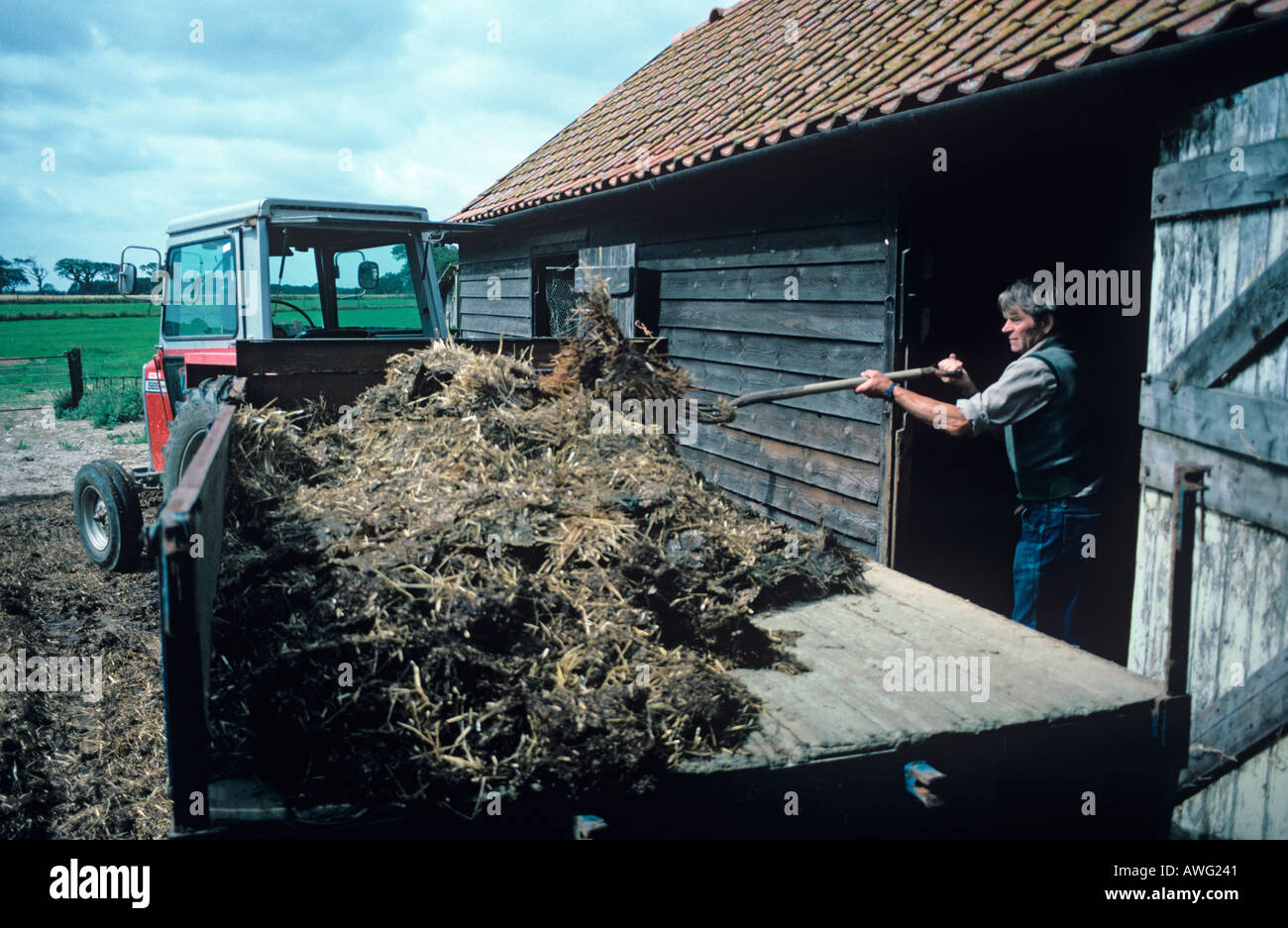 Norfolk Bauer Stall ausmisten Stockfoto