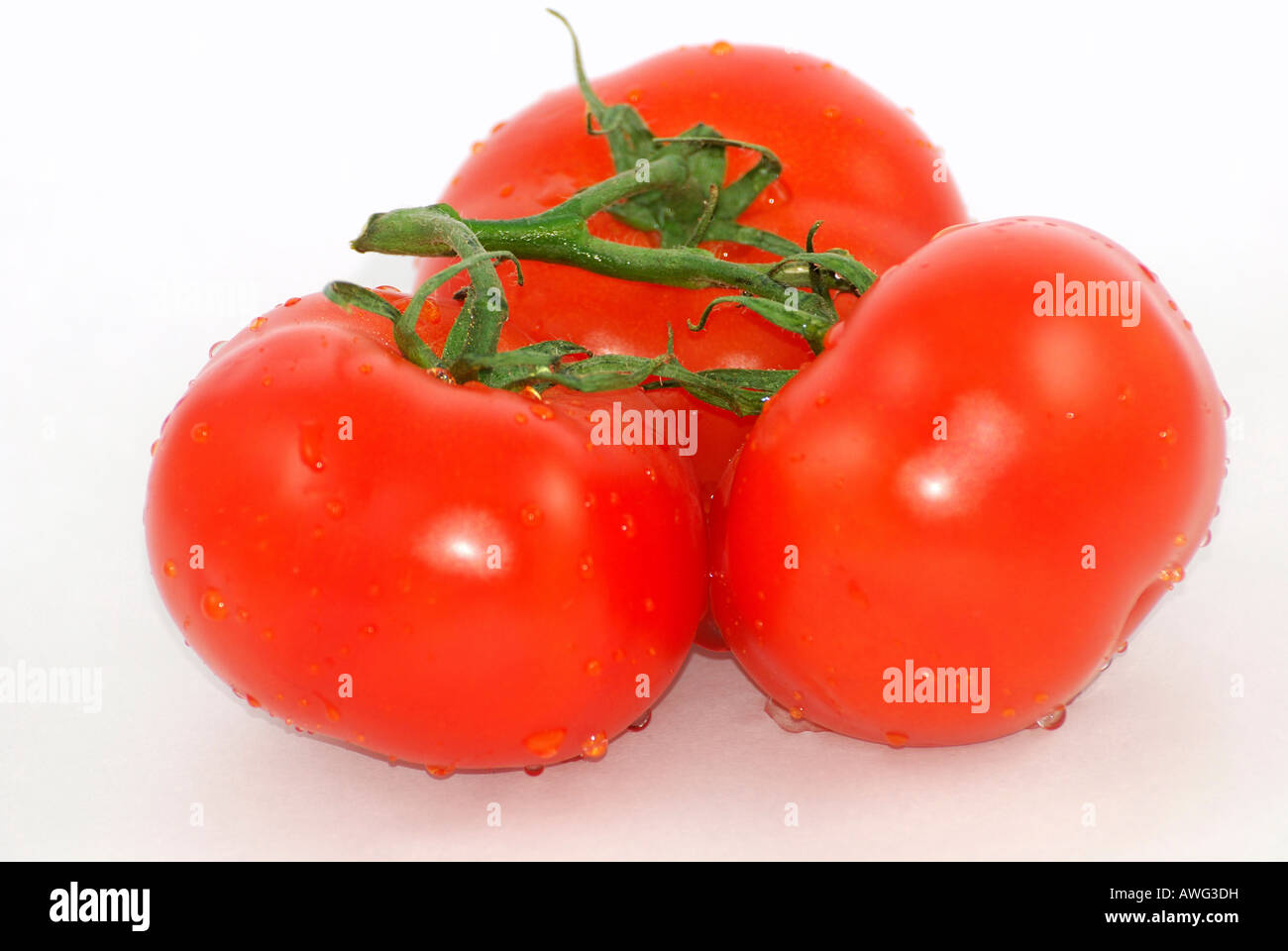Rote Tomaten Stockfoto