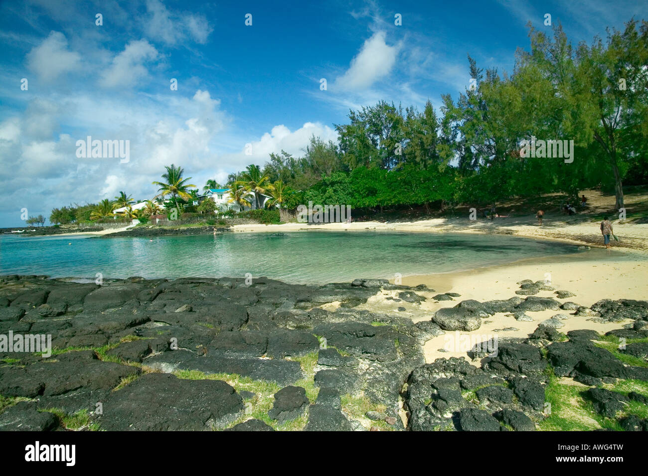 BAINBOEUF - INSEL MAURITIUS Stockfoto