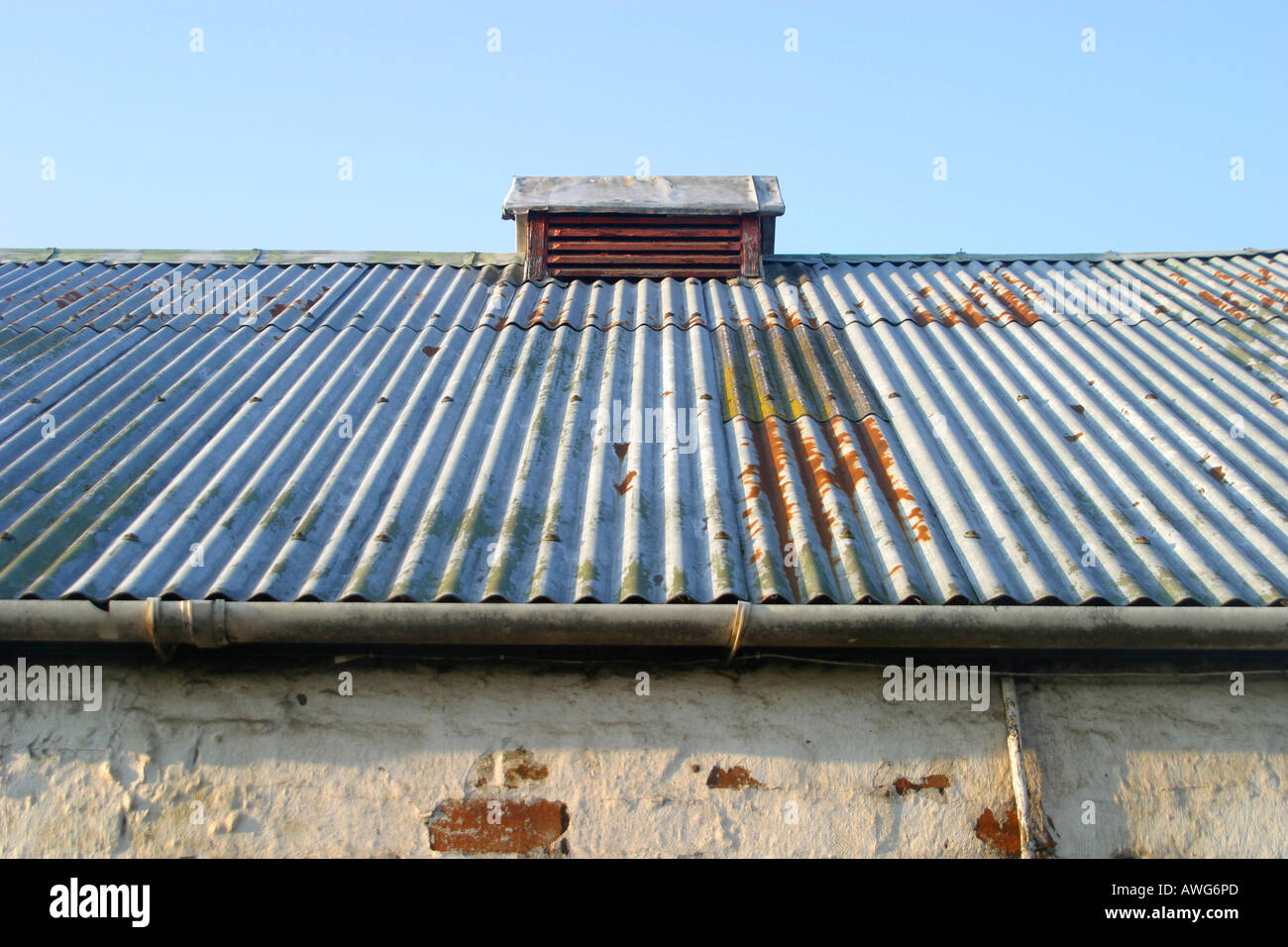 Wellblech-Dach auf landwirtschaftliches Gebäude Stockfoto