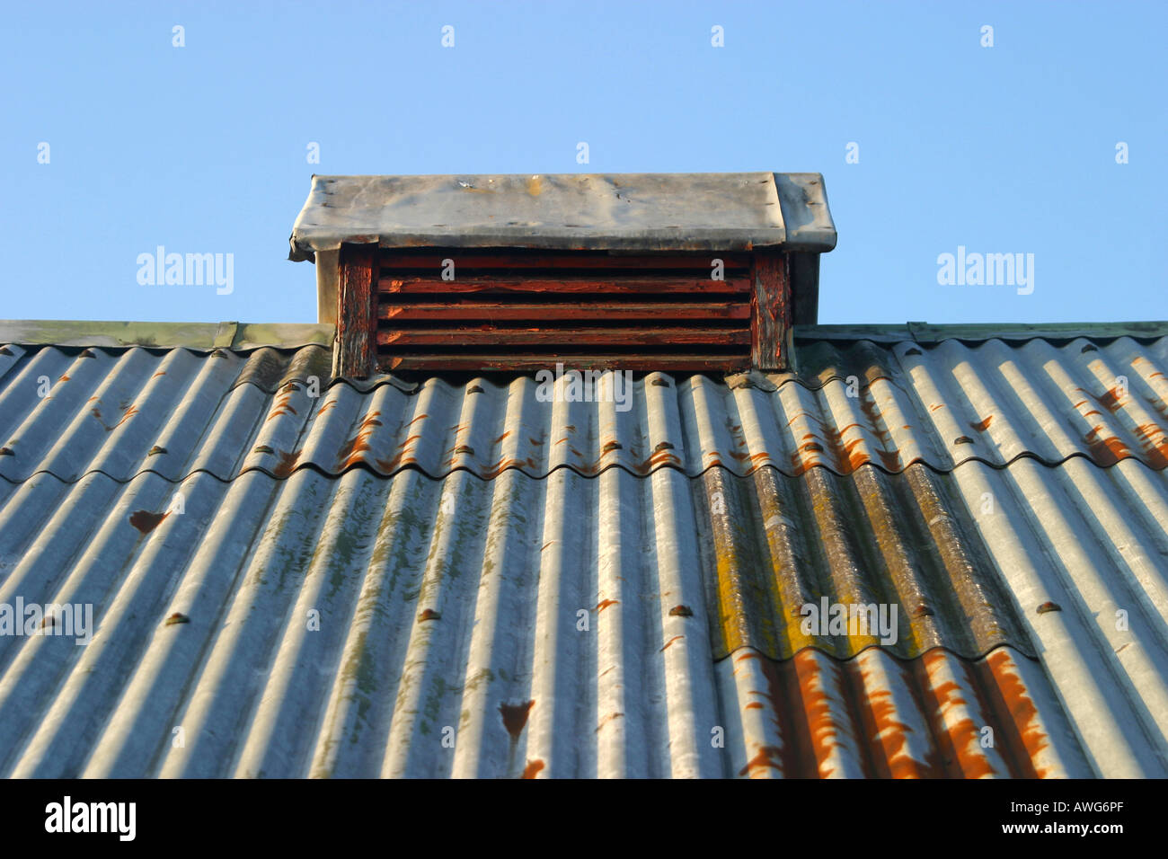 Wellblech-Dach auf landwirtschaftliches Gebäude Stockfoto