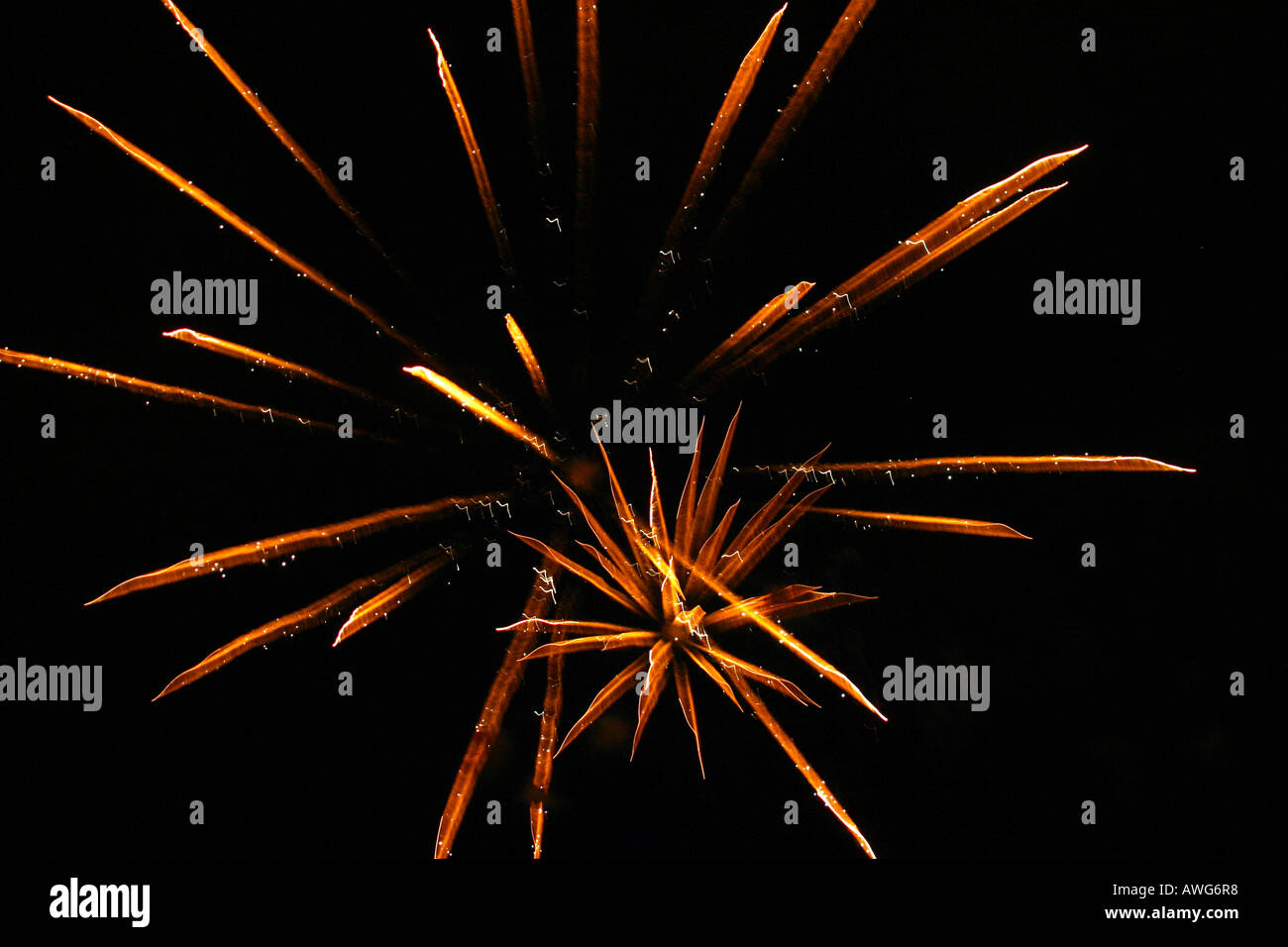 Feuerwerk in schwarzen Nachthimmel platzen Stockfoto