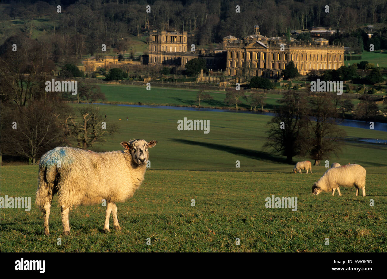 Chatsworth House, Derbyshire, Großbritannien. Stockfoto