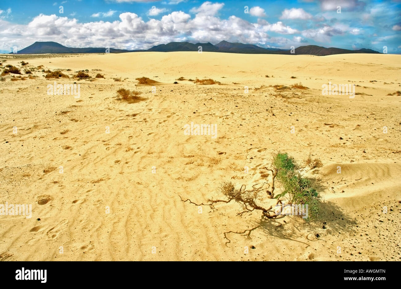 Corralejo: Naturpark Stockfoto