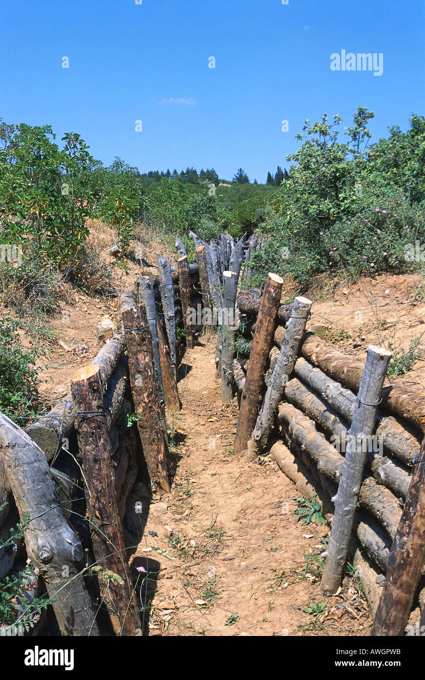 Türkei, Halbinsel Gallipoli (Gelibolu Yarmadasi), hölzerne Fechten Futter rekonstruierten Schützengräben Stockfoto