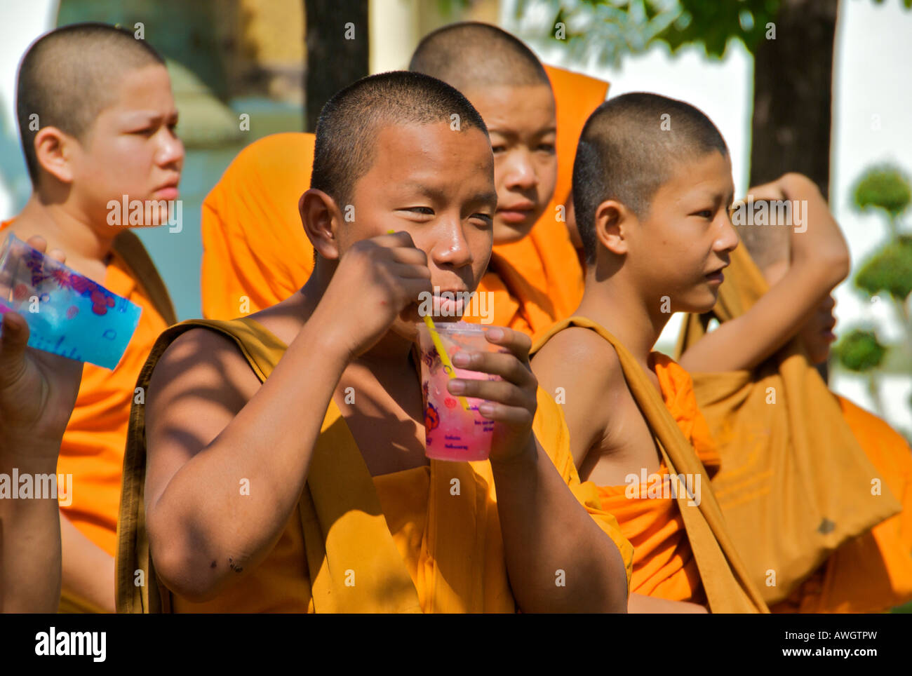 Mönch Essen Eistee trinken Chiang Mai Thailand Stockfoto