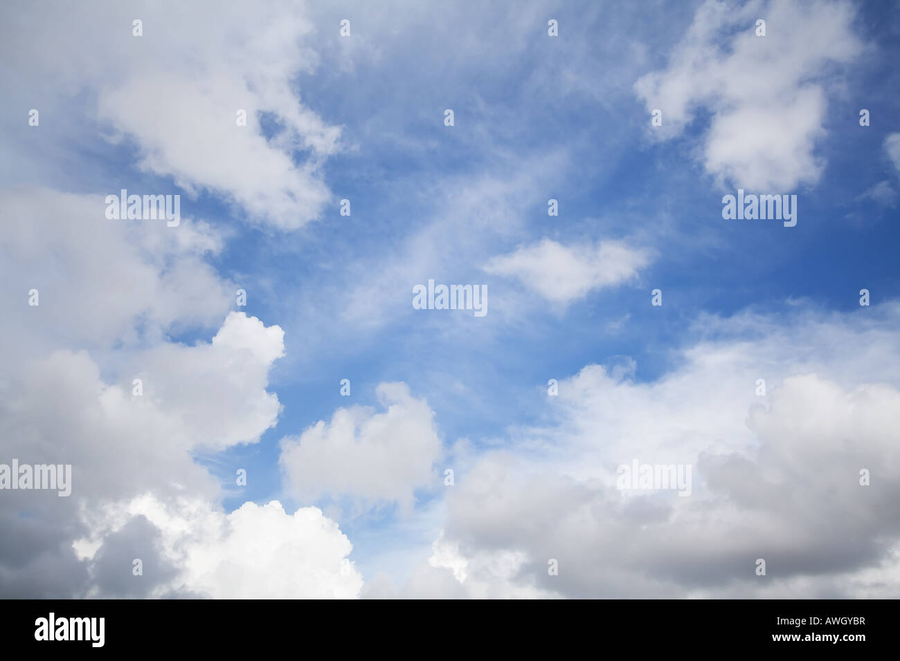 Weißes Fett Wolken über einem sonnigen blauen Himmel Stockfoto
