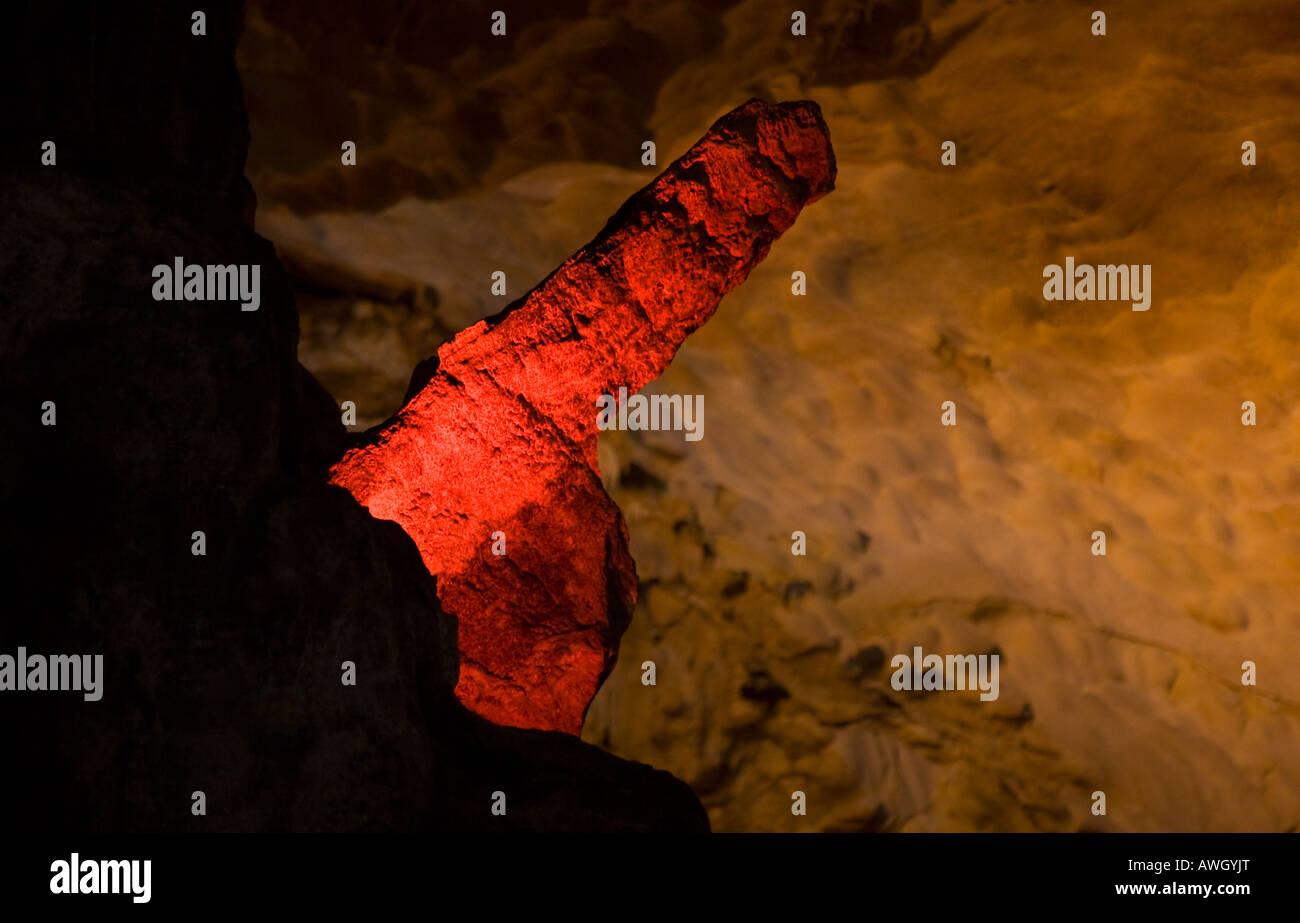 Eine phallische zu Tage tretenden Kalkstein schmiegt sich an die Wand im Inneren THIEN CUNG Höhlensystem HALONG Bucht VIETNAM Stockfoto