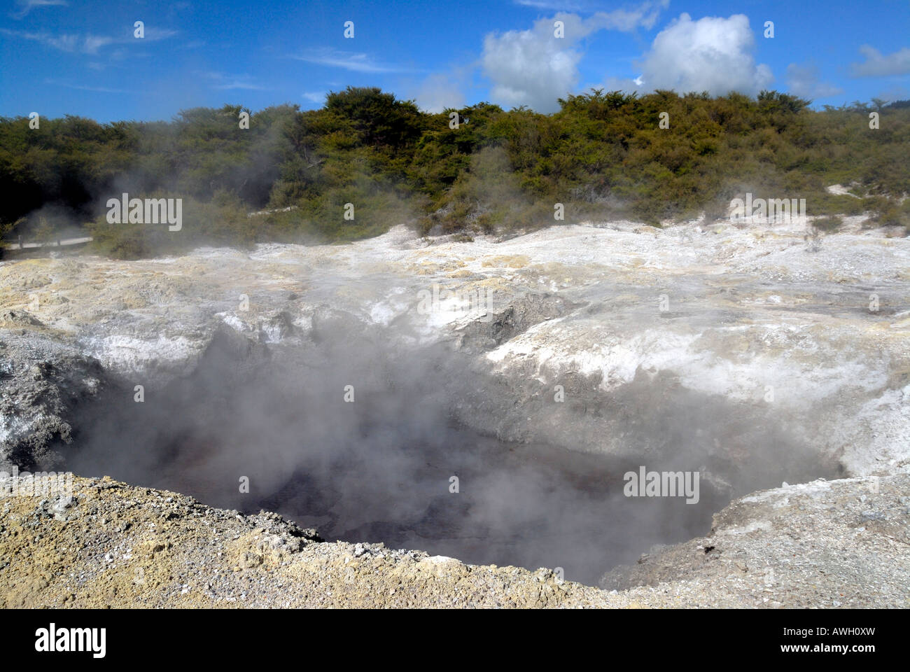 Rotorua Mud Federn. North Island. Neuseeland Stockfoto