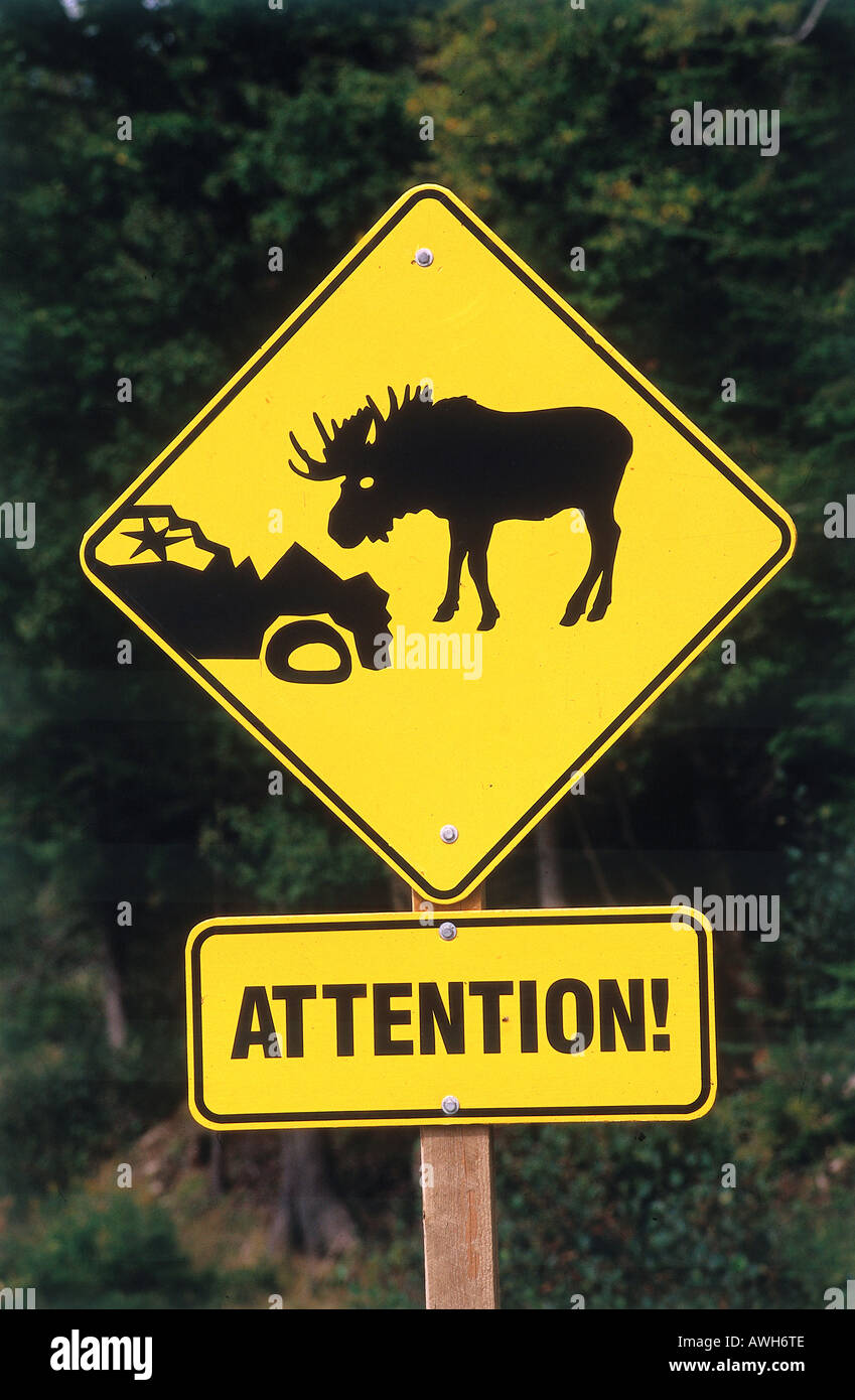 Elch-Warnschild auf einer Autobahn in Gross-Morne-Nationalpark. Stockfoto