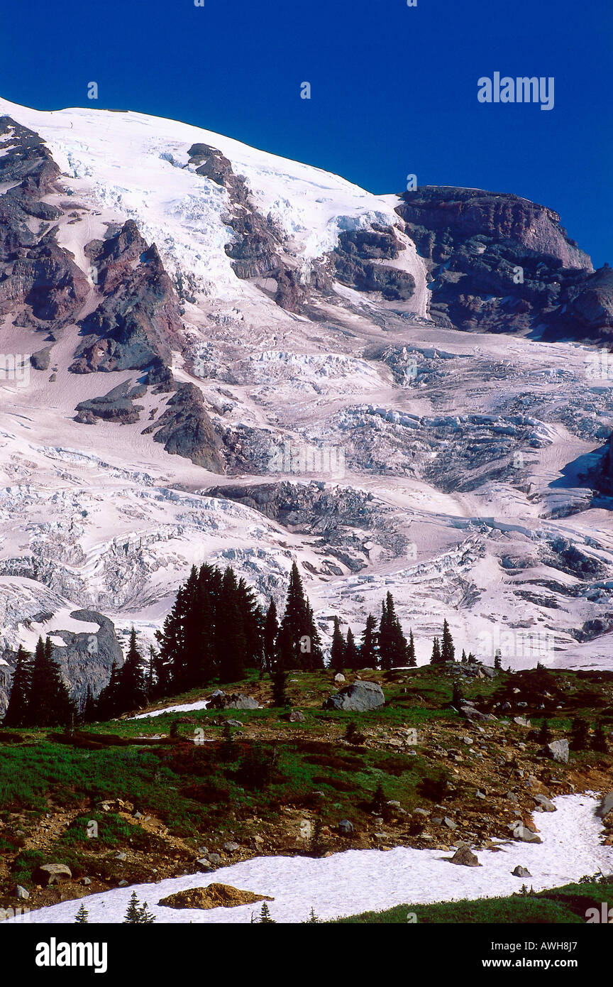 USA, Pacific Northwest, Washington State, Mount Rainier Nationalpark, Nisqually Glacier, gesehen aus dem Paradies Stockfoto