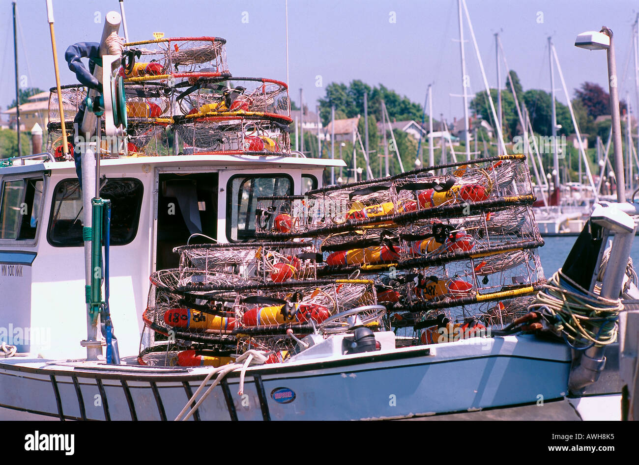 USA, Pacific Northwest, Washington State, Bellingham, Squalicum Hafen, Krabben fallen Stockfoto