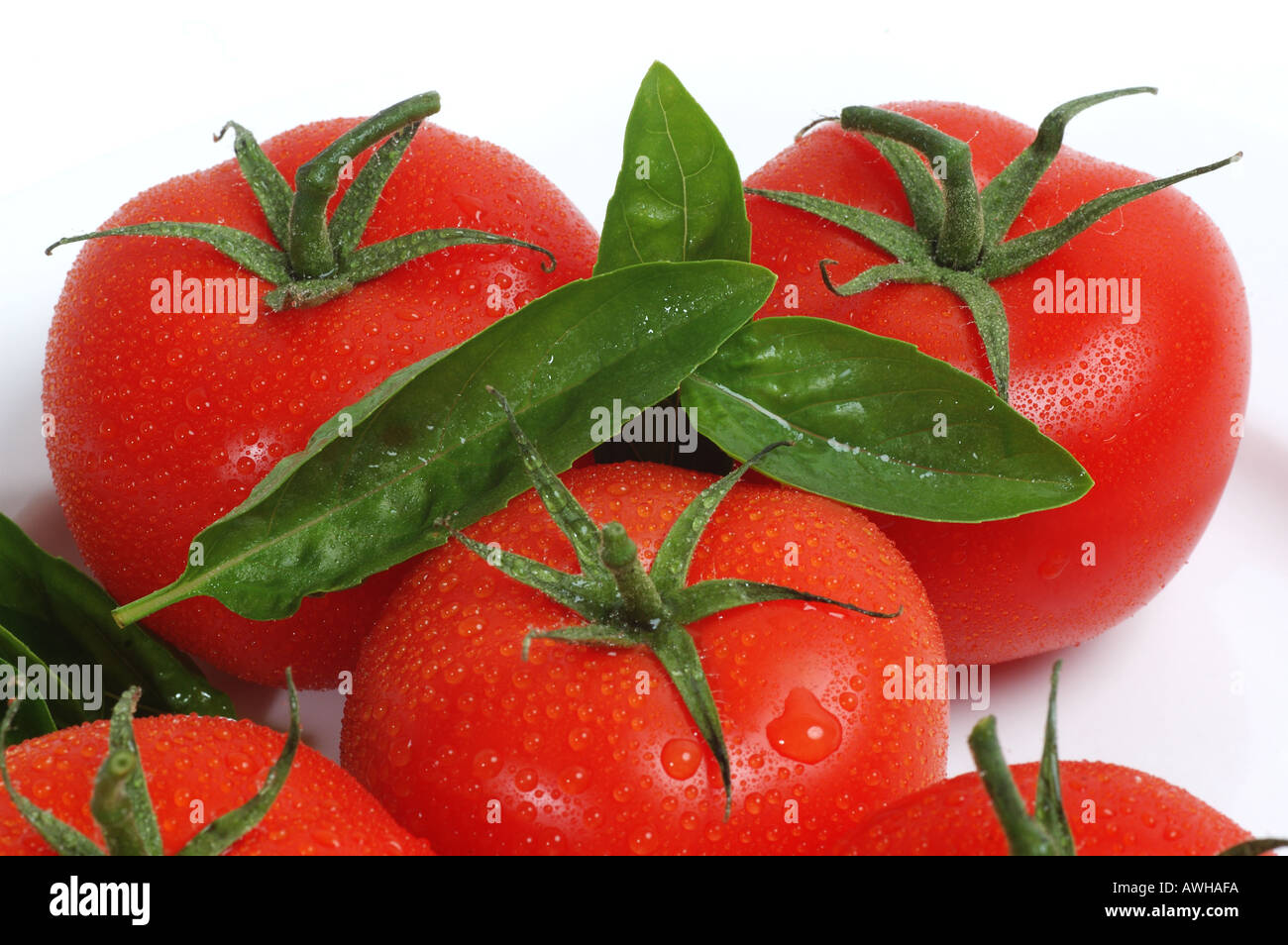 Tomaten und Basilikum dsc 9576 Stockfoto