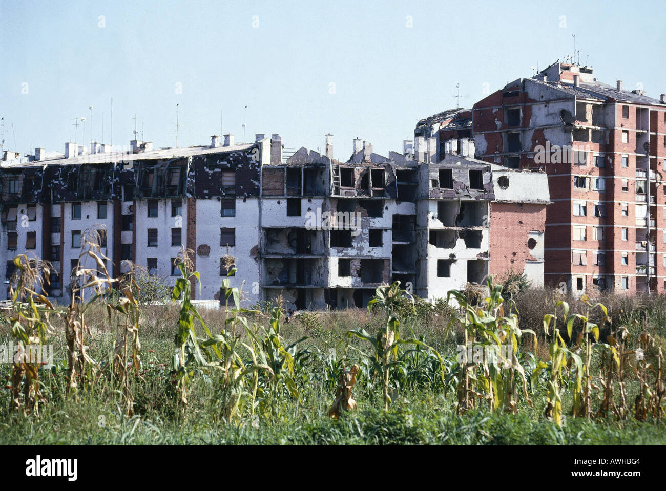 Appartements in Kroatien, Vukovar, bombardiert, während Krieg von 1991-5 Stockfoto