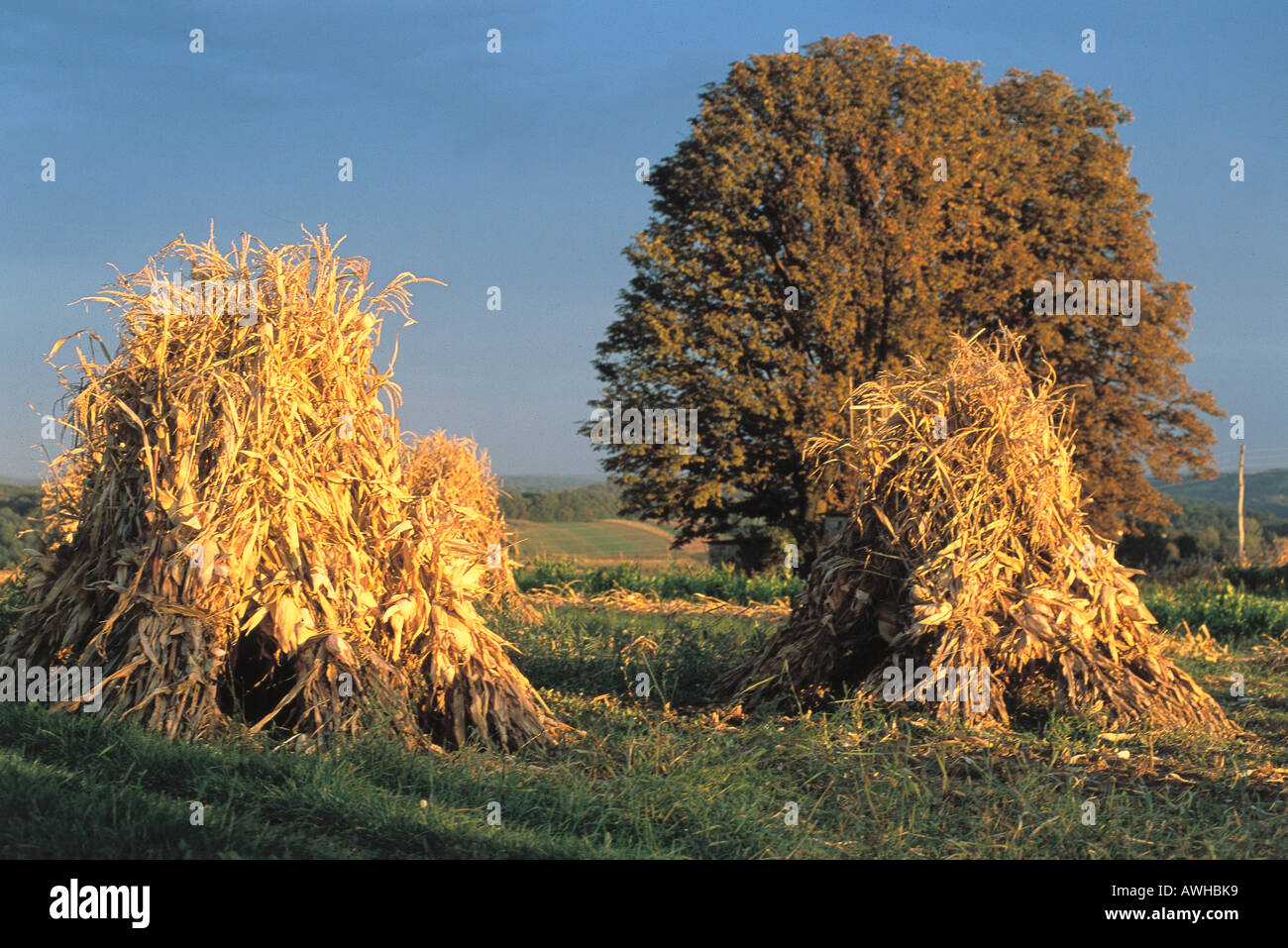 Kroatien, Northern Counties, typische landwirtschaftliche Landschaft zwischen Belec und Marija Bistrica Stockfoto