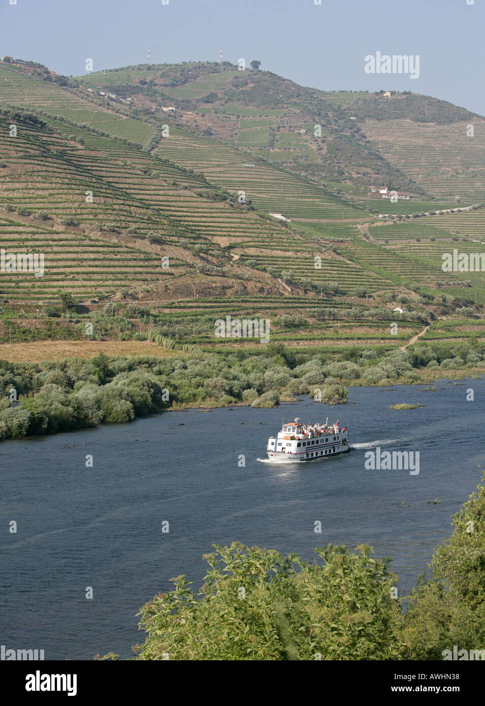 Ein Ausflugsschiff mit Touristen und Sicht Seher an Bord Motoren auf dem Fluss Douro in Portugal. Stockfoto