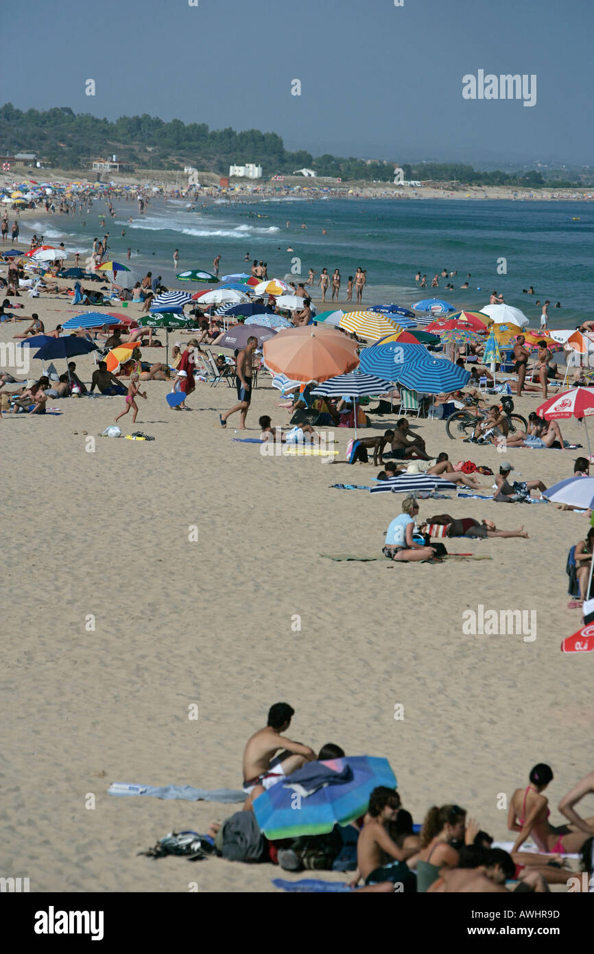 Der Strand von Lagos Portugal genannt Meia Praia mit Sommerfrischler und Touristen überfüllt Stockfoto
