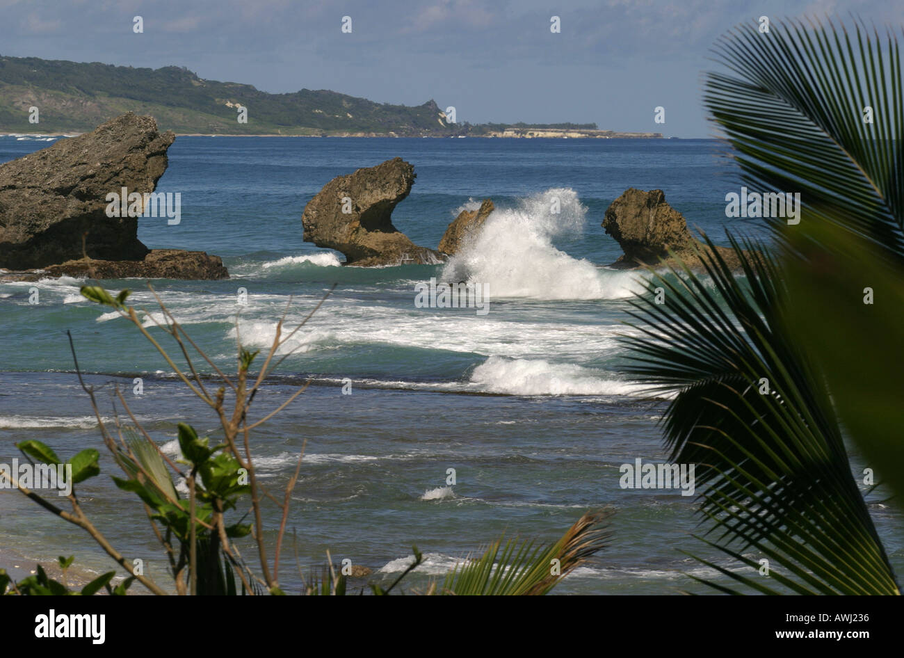 Barbados Batseba Stockfoto