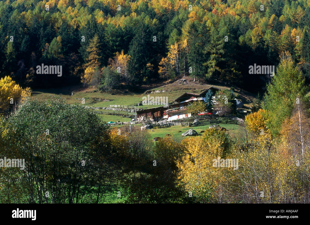 Erhöhte Ansicht von Bauernhaus, Martell, Trentino-Alto-Adige, Italien Stockfoto