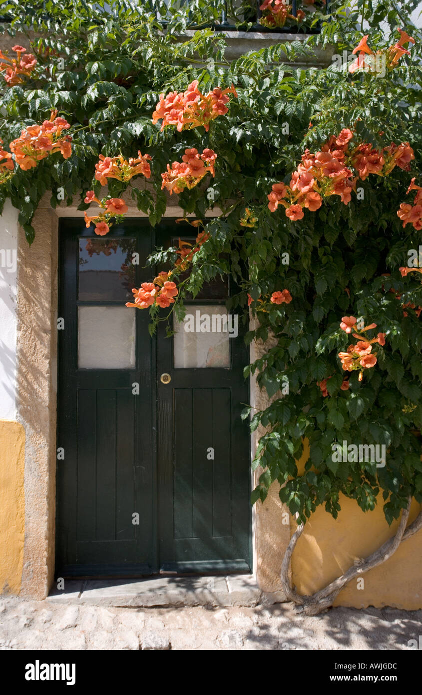 Eine der vielen bunten Türen innerhalb des ummauerten Zitadelle Dorfes Obidos, Portugal Stockfoto