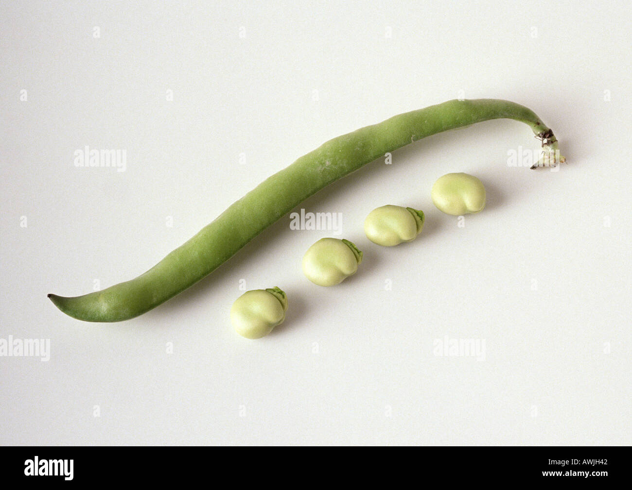 Grüne Bohnen, close-up Stockfoto