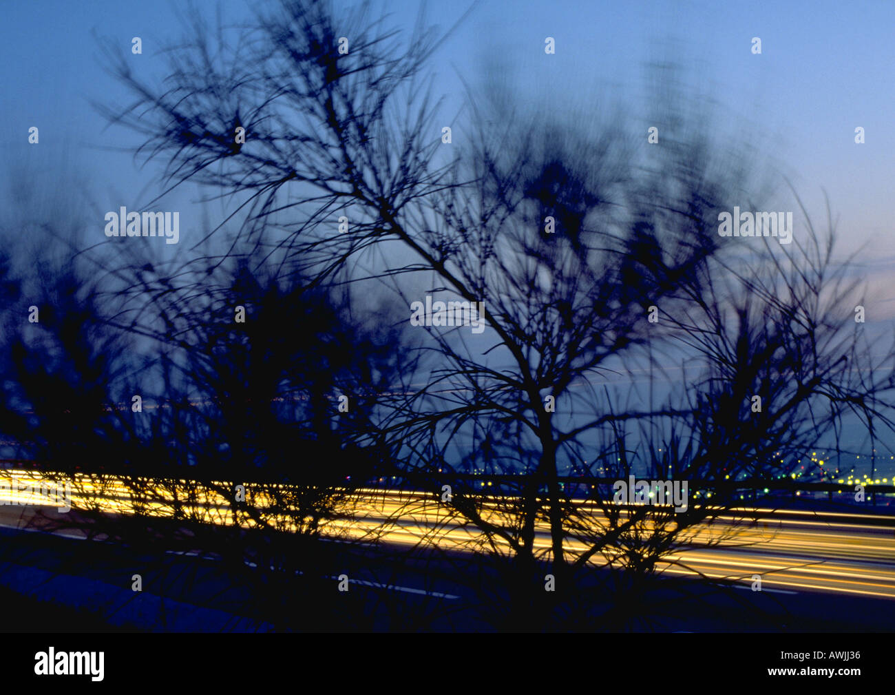 Lichtspuren auf belebten Autobahn, Silhouette Baum im Vordergrund Stockfoto