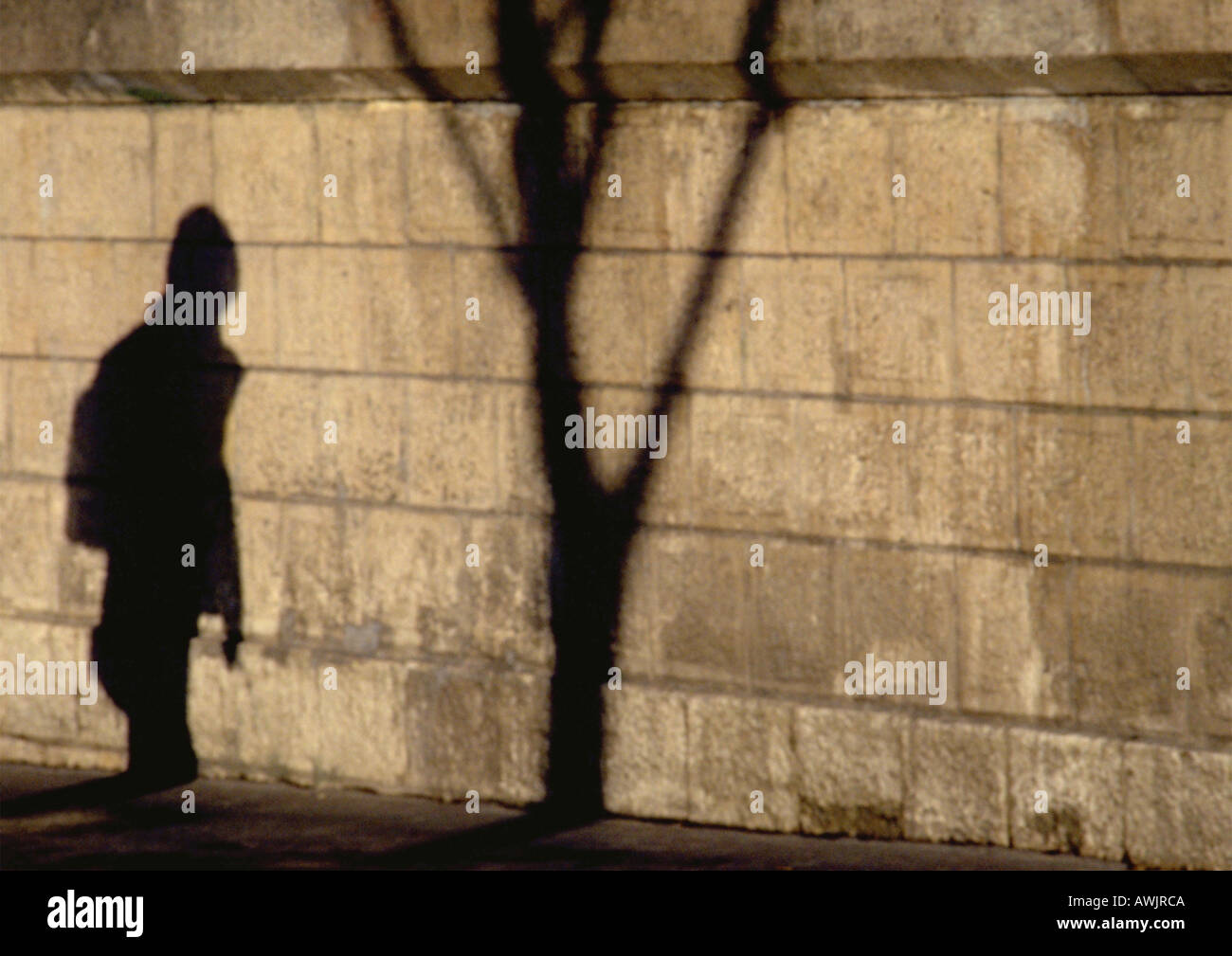 Schatten von Mensch und Baum auf Steinmauer Stockfoto