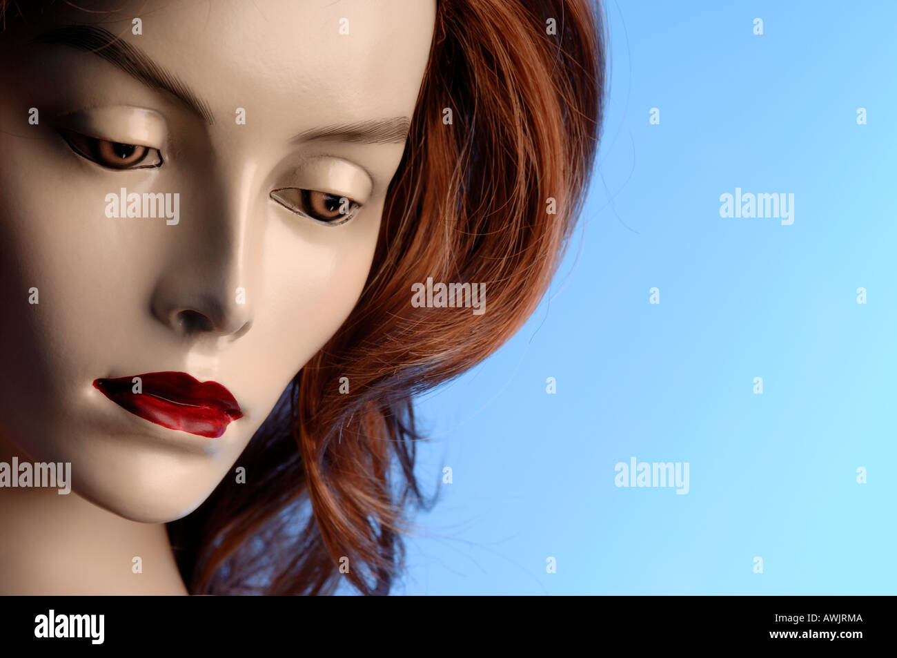 Mannequin-Kopf Stockfoto