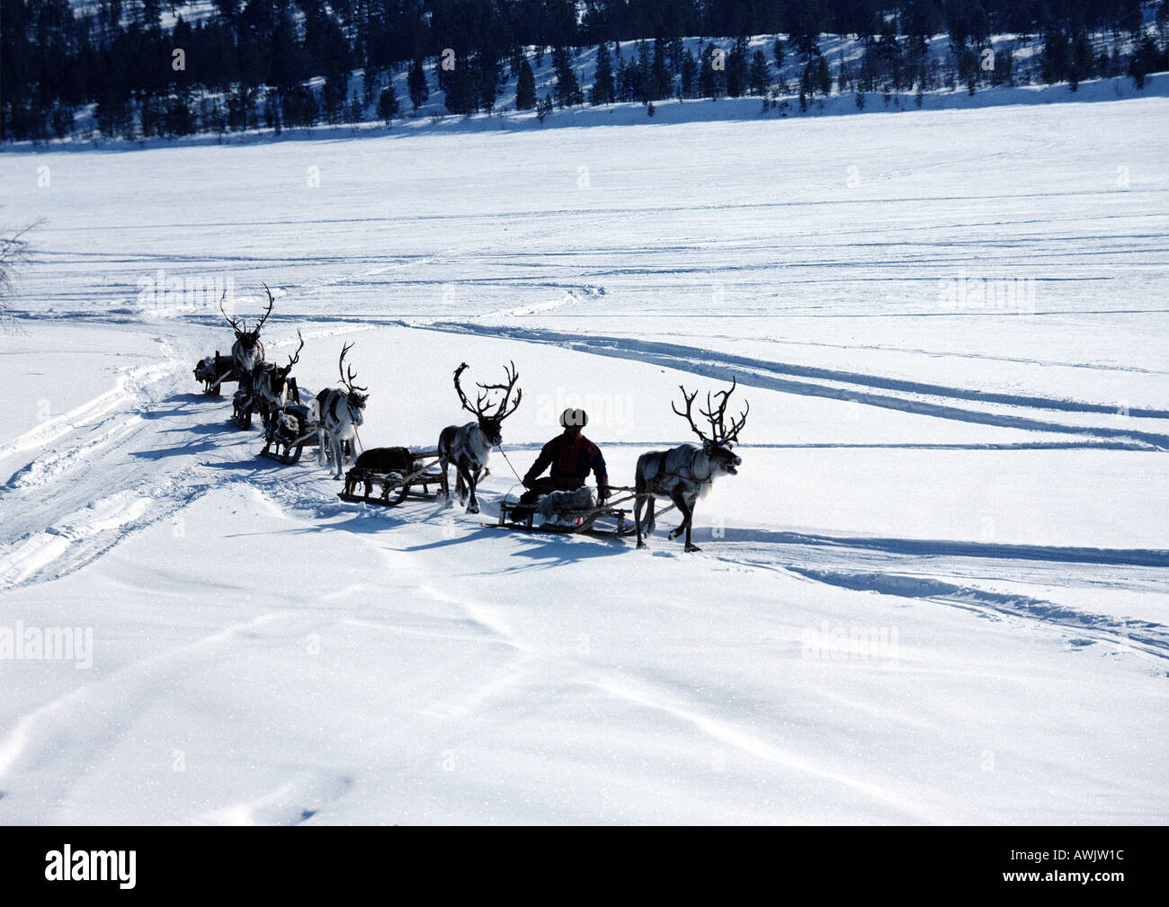 Finnland, über Schnee Schlitten ziehen Rentiere Stockfoto