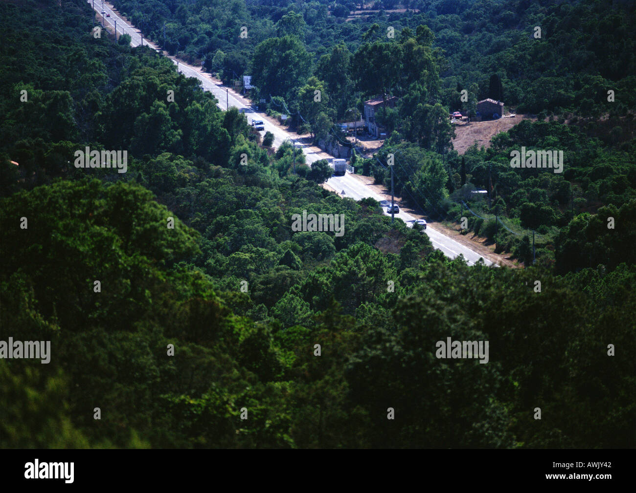 Autos Reisen durch bewaldete Autobahn, Birdseye anzeigen. Stockfoto