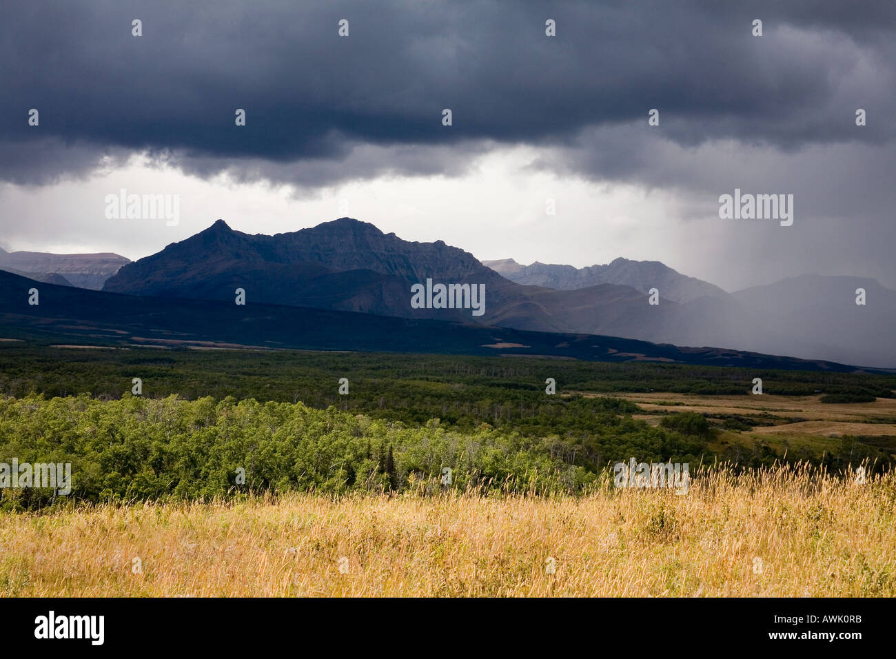Regen Sturm über spreadeagle Berg in den kanadischen Rocky Mountains Alberta Kanada Stockfoto