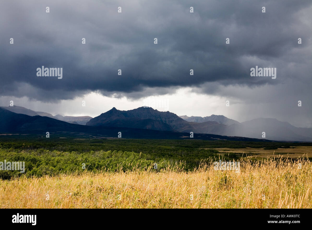 Regen Sturm über spreadeagle Berg in den kanadischen Rocky Mountains Alberta Stockfoto