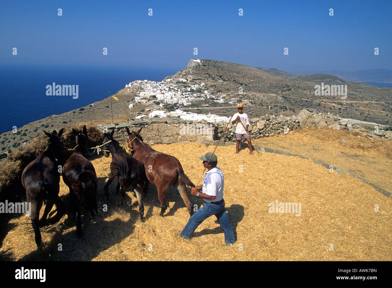 Griechenland-Kykladen Sikinos griechische Landwirtschaft Dreschen des