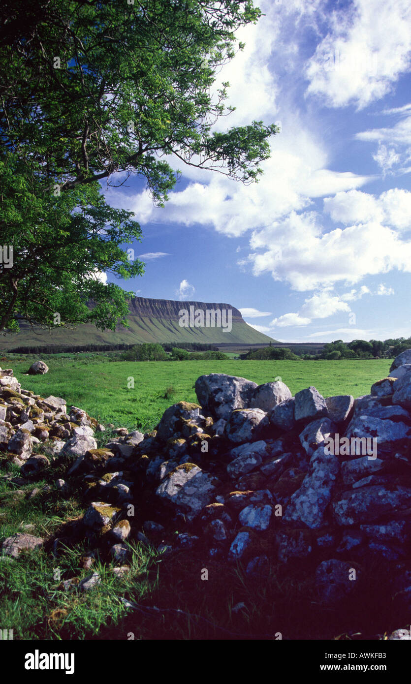 Benbulbin Berg und Stein Mauer, Co Sligo, Irland Stockfoto