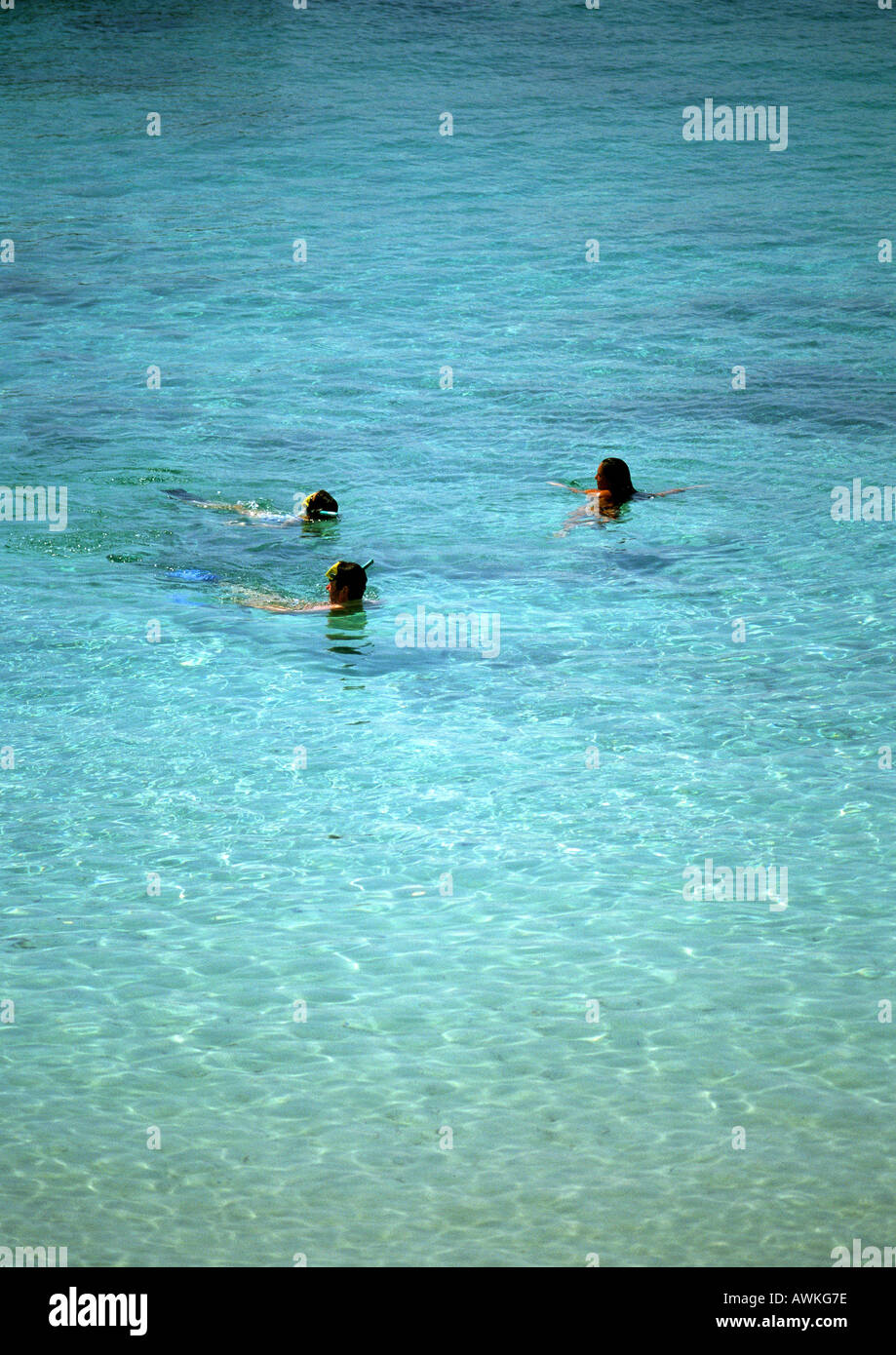 Frankreich, Korsika, Leute Schnorcheln im Meer Stockfoto