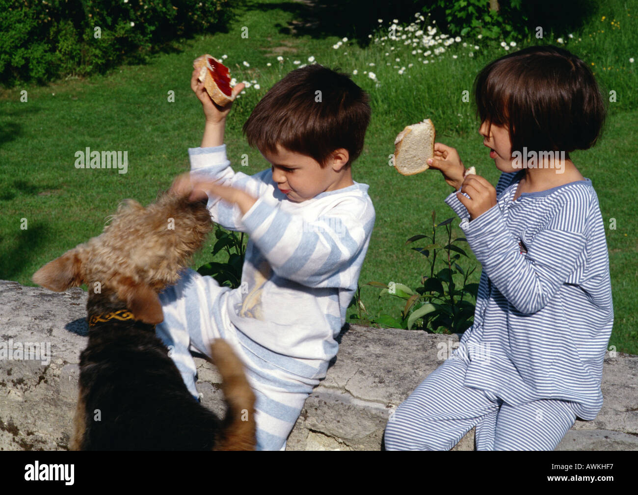 Kleine Kinder spielen im Freien mit Hund. Stockfoto